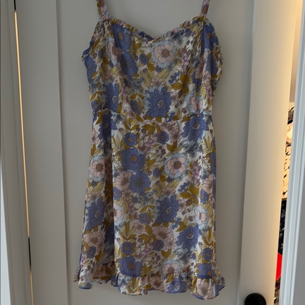 Dry Goods LUSH sundress NWT